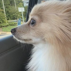 Meet your Posher, Charlize